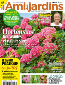 Campagne 22/07/2025